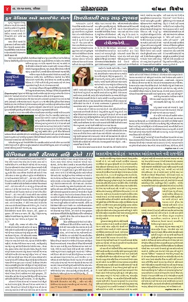 Gandhinagar Daily Daily News Paper